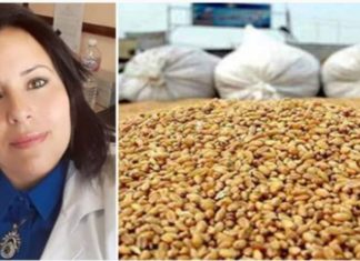 كشفت شحنة القمح المسرطن: محاولة قتل نوال المحمودي