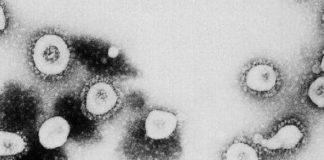 اكتشاف سلالة جديدة من فيروس كورونا في بريطانيا يعتقد أنها أسرع انتشارا