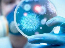 الولايات المتحدة تسجل هذا الرقم من الوفيات بفيروس كورونا خلال يوم واحد