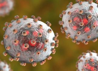 بعد مرور عام على ظهور الفيروس.. الصين تؤكد: هذه الدول صدرت كورونا إلينا والدليل متاح