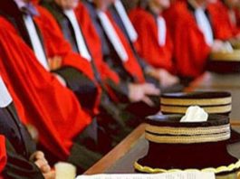 قائمة القضاة المدرجين بجدول الكفاءة للترقية إلى الرتبة الثالثة