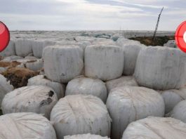 المحكمة الإيطالية أصدرت قرارا ضد الشركة التي صدّرت النفايات إلى تونس