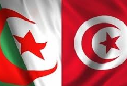 مباحثات بين تونس والجزائر حول آفاق التعاون في مجال النّقل الحديدي
