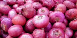 النائب وسام الشعري يؤكد استيراد كميات كبيرة من البصل بطريقة غير شرعية وبمواصفات غير صحية