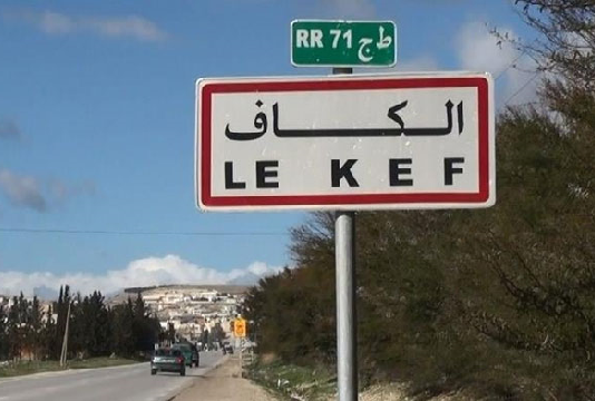 الكاف: قريبا انطلاق برامج إحداث مشاريع تنموية لفائدة النساء الريفيات