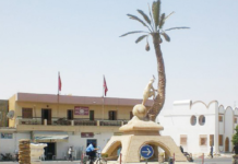 قبلي: التونسية للأنشطة البترولية تدعم الجانب التربوي والبيئي بالفوار