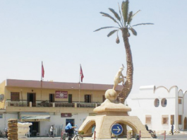 قبلي: التونسية للأنشطة البترولية تدعم الجانب التربوي والبيئي بالفوار