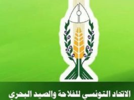اتحاد الفلاحين يدعو الحكومة إلى الإعلان عن زيادة مرتقبة بـ100 مليم في سعر الحليب للفلاح