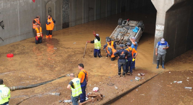 سيول الجزائر