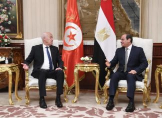 انطلاق القمة المصرية التونسية بين عبد الفتاح السيسي وقيس سعيّد