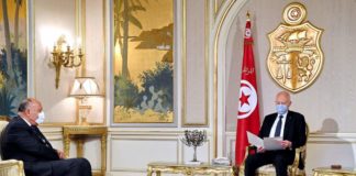 قيس سعيد يستقبل وزير خارجية مصر