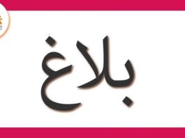 وزارة المرأة تعلق كافة الأنشطة والتظاهرات