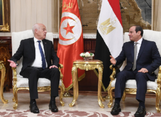سعيد عن أزمة سد النهضة: تونس لا تقبل المساس بأمن مصر المائي (فيديو)