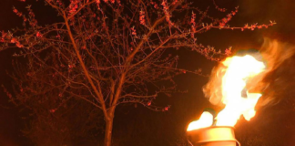 ألمانيا: إشعال الشموع لحماية البساتين من الصقيع (فيديو)