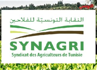النقابة الوطنية للفلاحين التونسيين تحذر من تنامي الزيادات المجهولة في قطاع الأعلاف