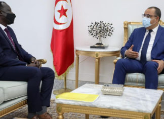 ماذا في لقاء المشيشي بالمقرّر الأممي الخاص ؟