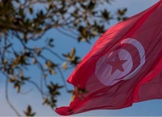 تفاصيل تفريط الدولة في قصر على ملك بن علي بمبلغ رمزي