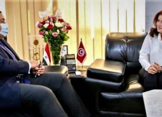 لدى استقبالها سفير مصر بتونس : سهام العيادي تؤكد الحرص على انجاح لقاء الترجي والاهلي المصري