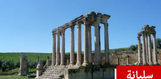 سليانة: جندي يطلق النار على اربعة شبان