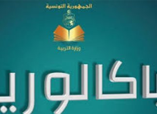 باكالوريا: نسبة النجاح في دورة التدارك لم تُسجّل منذ عشرين سنة