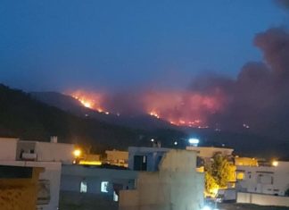 تعزيزات كبيرة من عدّة ولايات في اتجاه غار الدماء للسيطرة على الحرائق الضخمة