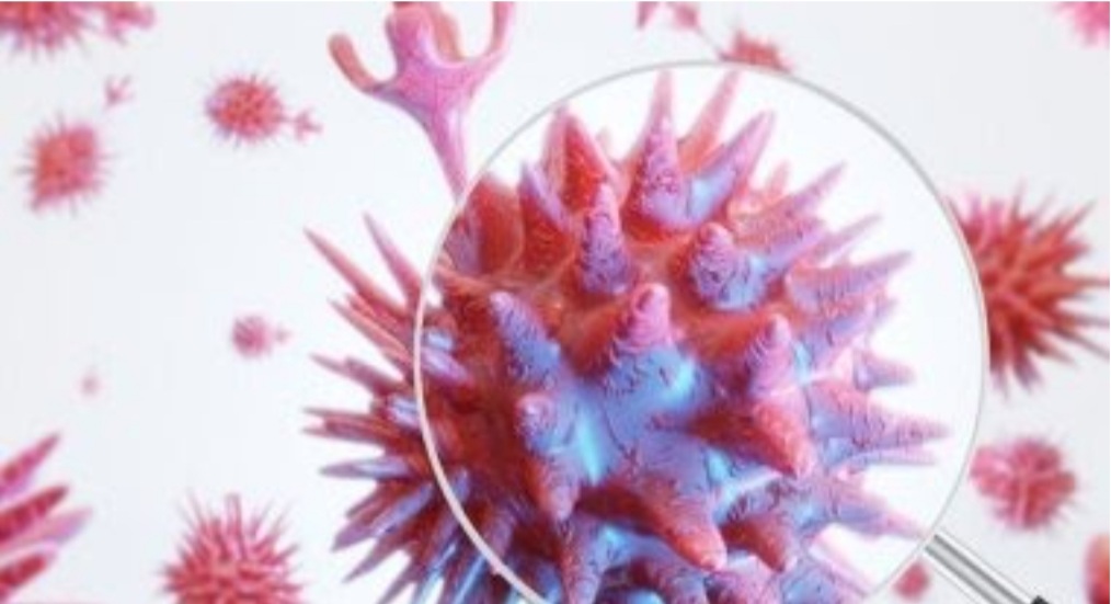 Screenshot_20210701-114338_Chrome