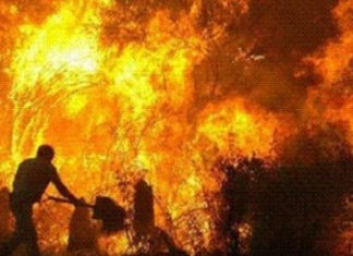 الكاف: حرائق غابية ضخمة في جبال ساقية سيدي يوسف