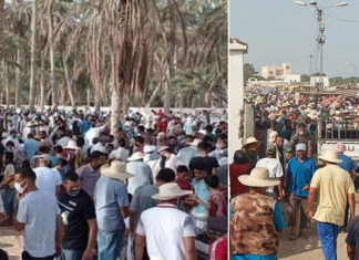 صور كارثية.. اكتظاظ بأسواق المواشي وخرق للبروتوكول الصحي