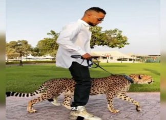 بالفيديو.. محمد رمضان يسير في شوارع دبي بصحبة فهد