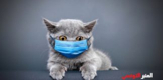 هل تكون القطط أملا في إيجاد علاج واعد ضد فيروس كورونا !
