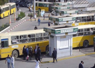 من أجل إنجاح اليوم الوطني للتلقيح.. وزارة النقل تفعّل خطوط النقل المدرسي