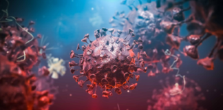 تقرير مخيّب للاستخبارات الأمريكية عن منشأ فيروس كورونا