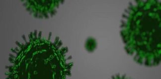 سلالة “دلتا” تستطيع البقاء على قيد الحياة في الماء لمدة 72 ساعة