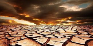 خبير في المياه: تونس مهددة بالجفاف وبسنوات صعبة