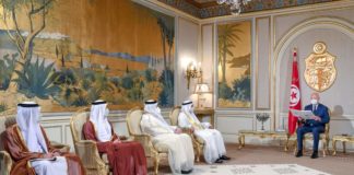 رئيس الجمهورية يتلقى رسالة خطية من نظيره الإماراتي