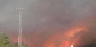 جندوبة تحت النار: حرائق خطيرة تصل الى المنازل وتتسبب في انفجار قوارير الغاز(صور)