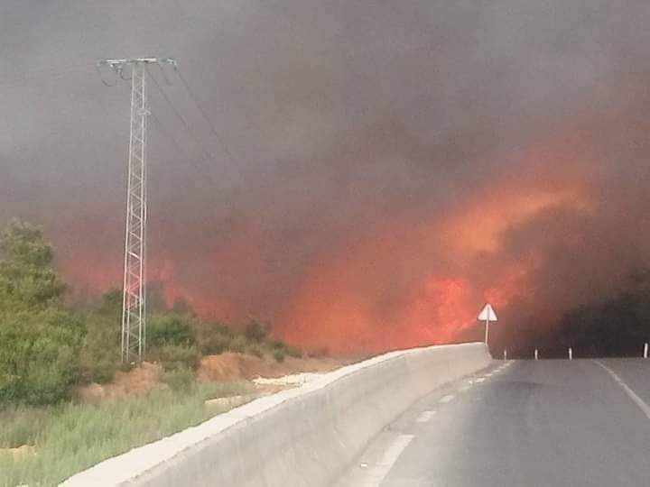 FB_IMG_1628692956100