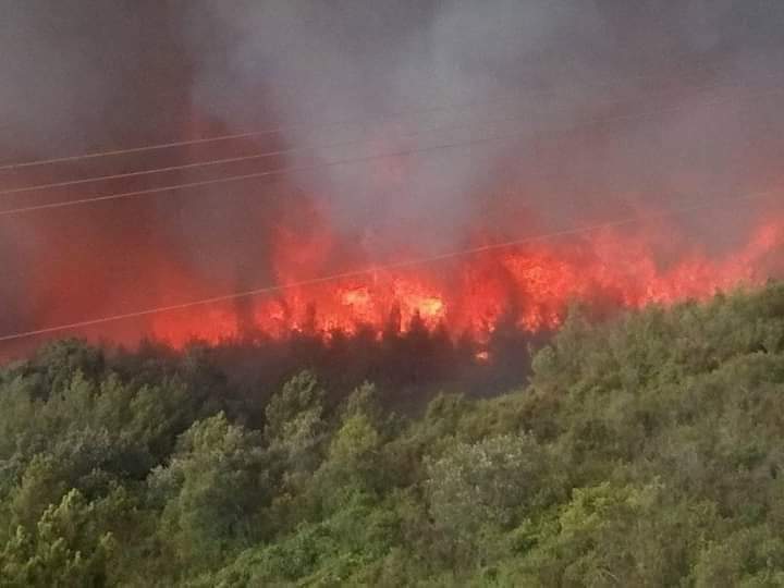 FB_IMG_1628692963909