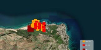 حرائق بنزرت تلتهم حواليْ 210 هكتار من الغابات