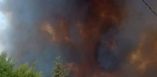 فرنانة: الحرائق تصل المنازل وتتسبب في قطع الطريق االوطنية رقم 17