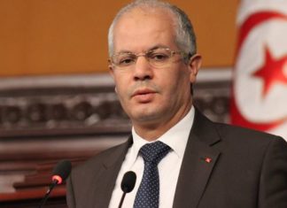 عماد الحمامي : إجراءات قيس سعيد زلزال وصدمة إيجابية..