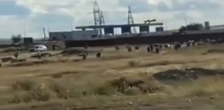 هروب جماعي من مطعم بفساتين وملابس السهرة(فيديو)