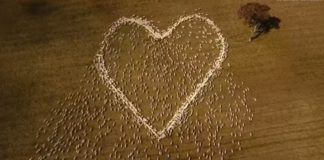 راعي أغنام منعه الحجر من حضور جنازة عمته فرسم لها قلبا بأغنامه(فيديو)