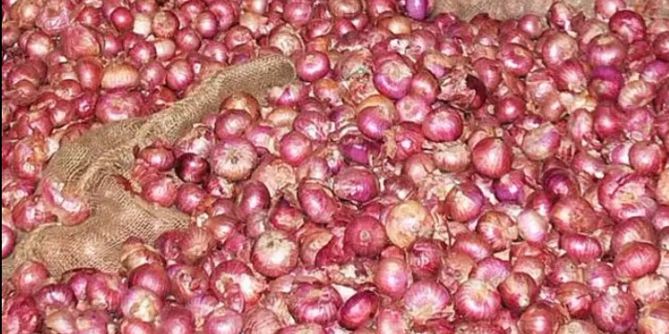 da197cdb99536e23c43f41919c3fde4298