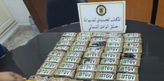 ميناء حلق الوادي: احباط تهريب 57 صفيحة من ”الزطلة”