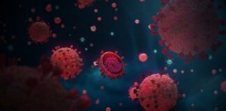 هولندا: حالة استنفار بعد رصد 61 مصابا بفيروس كورونا قادمين من جنوب إفريقيا