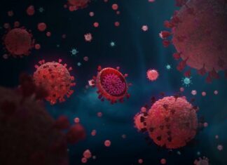 هولندا: حالة استنفار بعد رصد 61 مصابا بفيروس كورونا قادمين من جنوب إفريقيا