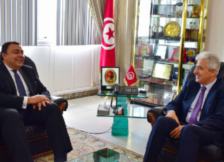 التعاون العسكري محور لقاء وزير الدفاع مع سفير مصر بتونس