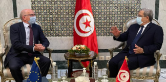 ماذا جاء في لقاء الجرندي وسفير الاتحاد الأوروبي؟