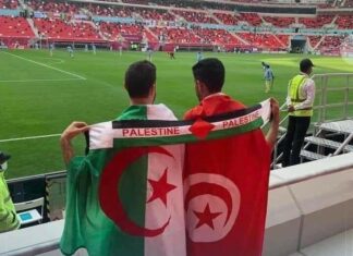 تونس-الجزائر: أخبار نهائي كأس العرب لحظة بلحظة